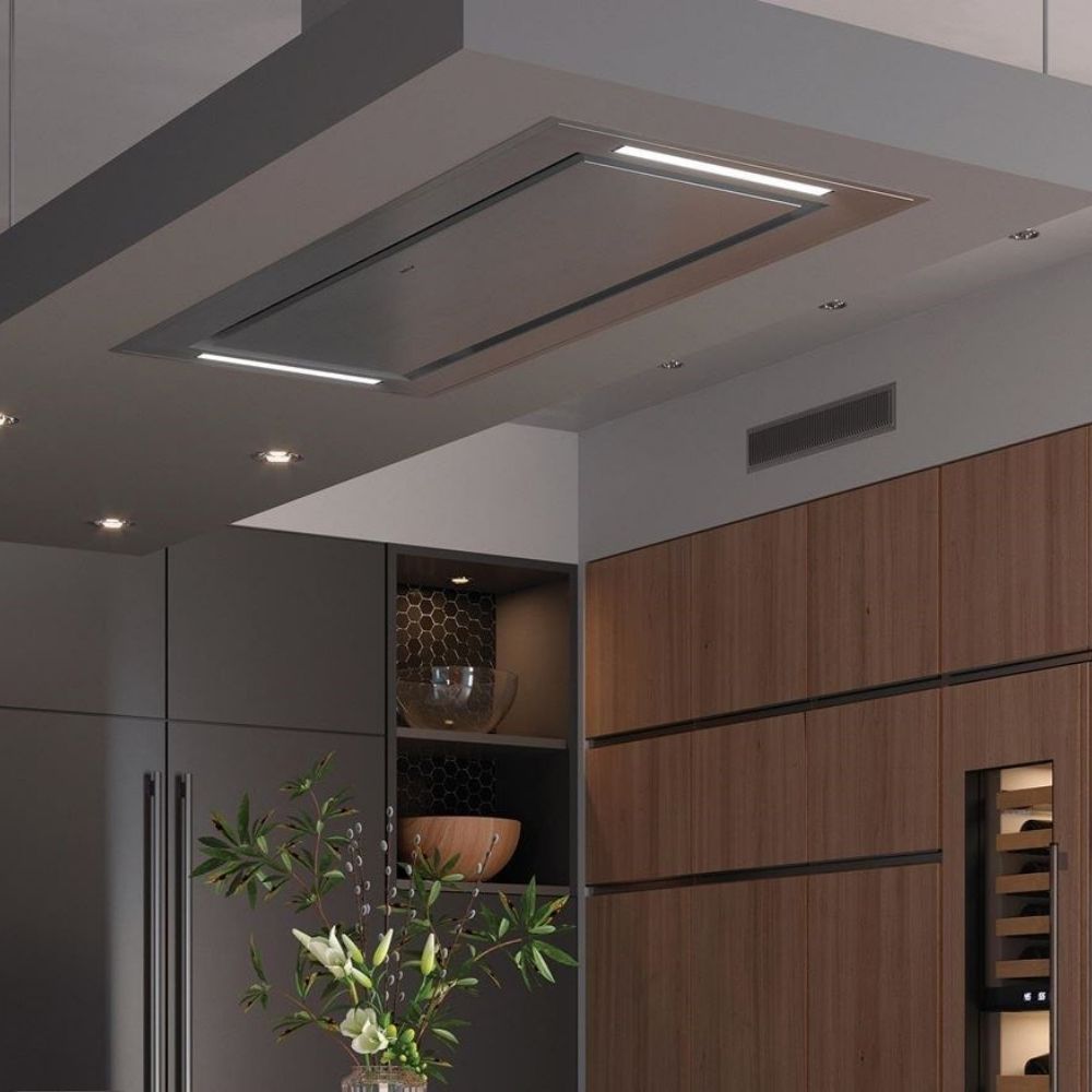 CAMPANA WOLF DE TECHO 120 CM ICBVC48S ACERO